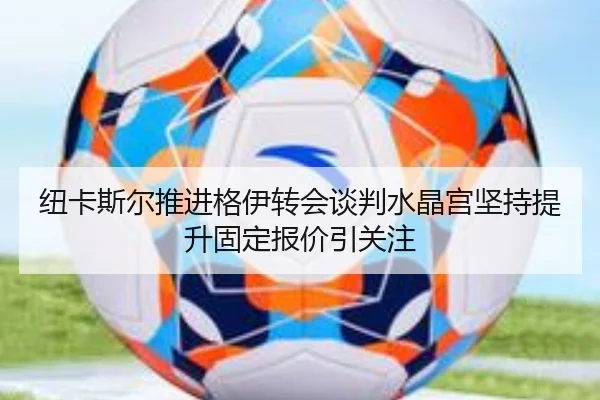纽卡斯尔推进格伊转会谈判水晶宫坚持提升固定报价引关注